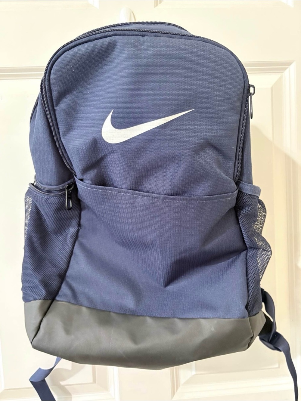 Nike Navy and White Everyday Backpack